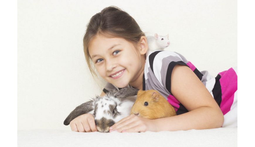 Nutrition, deseases and welfare of rabbits and rodents as well as possible treatments